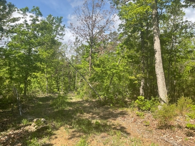 80 Acres in Texas County Missouri - image 11