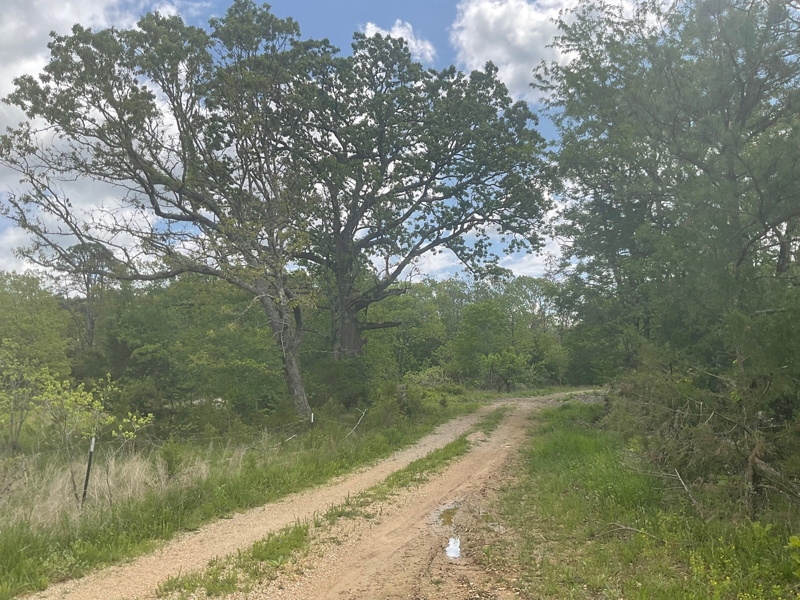 Driveway entrance