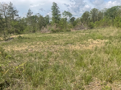 80 Acres in Texas County Missouri - image 2