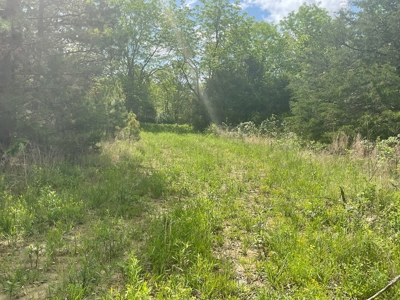 80 Acres in Texas County Missouri - image 18
