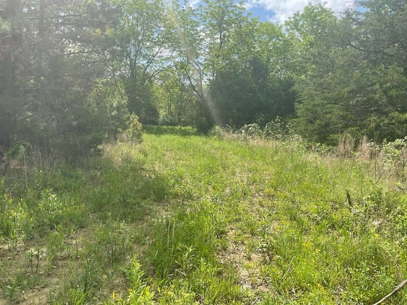 pasture