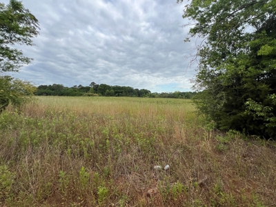 5ac Land for Sale Enterprise Alabama - Coffee County AL - image 4