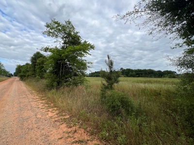5ac Land for Sale Enterprise Alabama - Coffee County AL - image 5