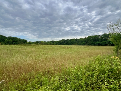 5ac Land for Sale Enterprise Alabama - Coffee County AL - image 2