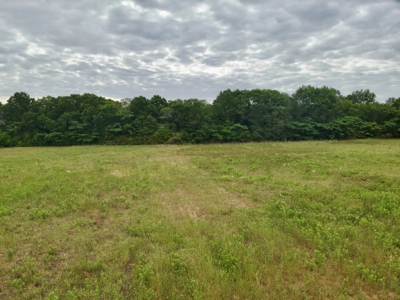 5ac Land for Sale Enterprise Alabama - Coffee County AL - image 13