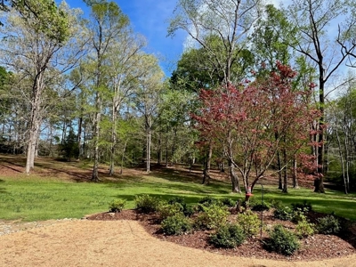 Executive Home in North Pike School District, Pike Co., MS - image 24