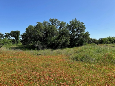 Lot 1079 at The Hideout Golf Resort at Lake Brownwood, TX - image 5