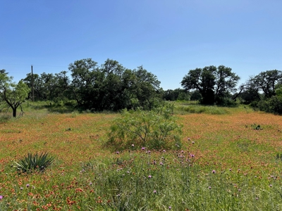 Lot 1079 at The Hideout Golf Resort at Lake Brownwood, TX - image 15