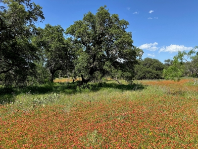 Lot 1079 at The Hideout Golf Resort at Lake Brownwood, TX - image 7