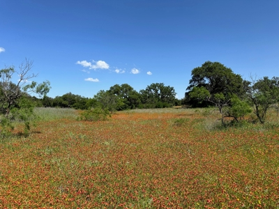 Lot 1079 at The Hideout Golf Resort at Lake Brownwood, TX - image 6