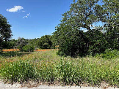 Lot 1079 at The Hideout Golf Resort at Lake Brownwood, TX - image 3