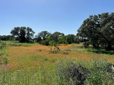 Lot 1079 at The Hideout Golf Resort at Lake Brownwood, TX - image 14