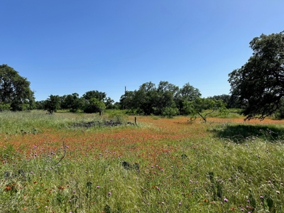 Lot 1079 at The Hideout Golf Resort at Lake Brownwood, TX - image 10