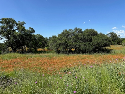 Lot 1079 at The Hideout Golf Resort at Lake Brownwood, TX - image 12