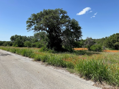 Lot 1079 at The Hideout Golf Resort at Lake Brownwood, TX - image 2