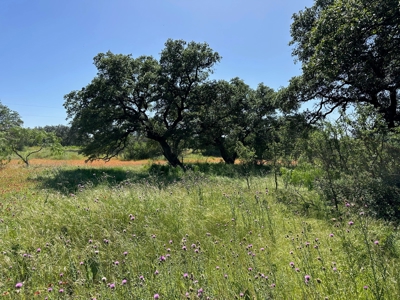 Lot 1079 at The Hideout Golf Resort at Lake Brownwood, TX - image 9