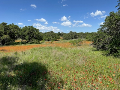 Lot 1079 at The Hideout Golf Resort at Lake Brownwood, TX - image 1