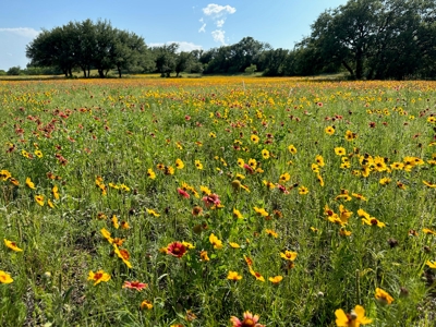 Lot 609 at The Hideout Golf Resort at Lake Brownwood, TX - image 39