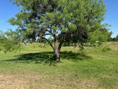 Lot 609 at The Hideout Golf Resort at Lake Brownwood, TX - image 13