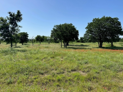 Lot 609 at The Hideout Golf Resort at Lake Brownwood, TX - image 6