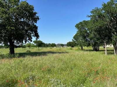 Lot 609 at The Hideout Golf Resort at Lake Brownwood, TX - image 9