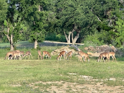 Lot 609 at The Hideout Golf Resort at Lake Brownwood, TX - image 38