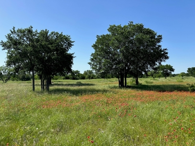 Lot 609 at The Hideout Golf Resort at Lake Brownwood, TX - image 1