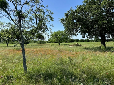 Lot 609 at The Hideout Golf Resort at Lake Brownwood, TX - image 8