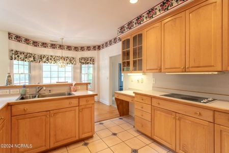 Albemarle Plantation Home For Sale - image 19