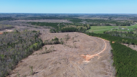 114 Acres: Serene Lunenburg Escape, VA - image 21