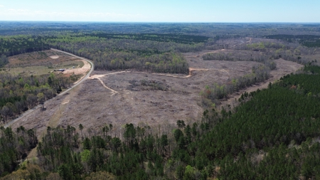 114 Acres: Serene Lunenburg Escape, VA - image 19