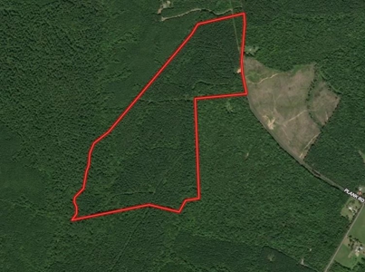 114 Acres: Serene Lunenburg Escape, VA - image 2