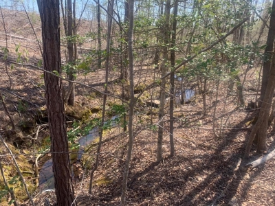 114 Acres: Serene Lunenburg Escape, VA - image 3