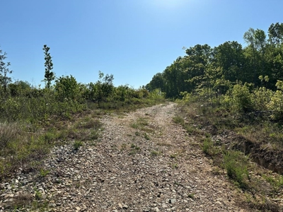 114 Acres: Serene Lunenburg Escape, VA - image 13