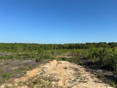 114 Acres: Serene Lunenburg Escape, VA - image 11