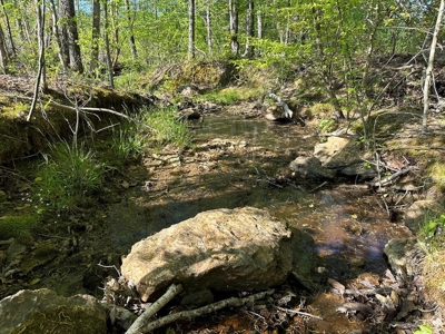 114 Acres: Serene Lunenburg Escape, VA - image 5