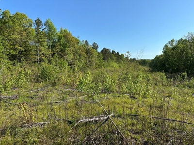 114 Acres: Serene Lunenburg Escape, VA - image 9