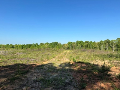 114 Acres: Serene Lunenburg Escape, VA - image 10