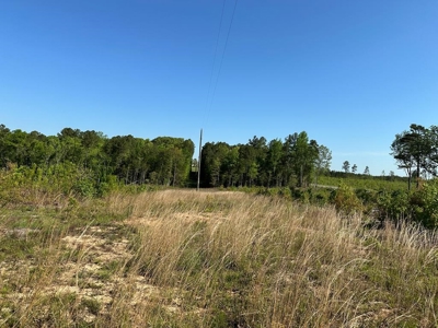 114 Acres: Serene Lunenburg Escape, VA - image 16