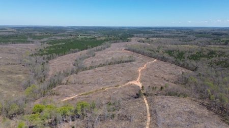 114 Acres: Serene Lunenburg Escape, VA - image 20