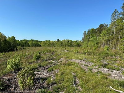 114 Acres: Serene Lunenburg Escape, VA - image 7