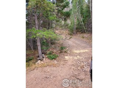 Lake Front Lot - image 5