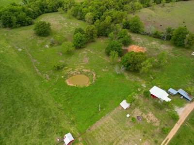 10 Acre Hobby Farm - image 20