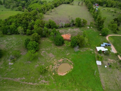 10 Acre Hobby Farm - image 19
