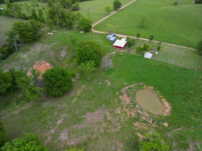 10 Acre Hobby Farm - image 17