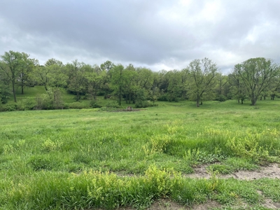 Lucas County Iowa In Town Acreage For Sale - image 44