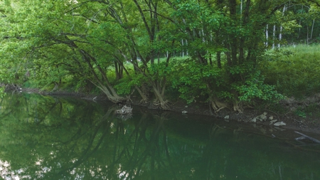 5.12 Surveyed and Unrestricted Riverfront Acres For Sale - image 9