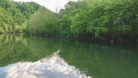 5.12 Surveyed and Unrestricted Riverfront Acres For Sale - image 8