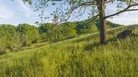 5.12 Surveyed and Unrestricted Riverfront Acres For Sale - image 5