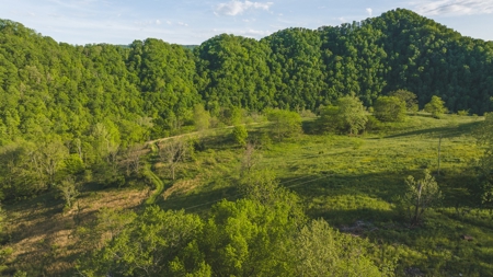 5.12 Surveyed and Unrestricted Riverfront Acres For Sale - image 4